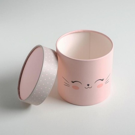 A set of boxes of thin cardboard 4 in 1, gift packaging, "muzzle", 12 x 12 - 20 x 20 cm-9