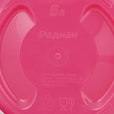 A bucket with a Light lid, 5 l, pink color-6