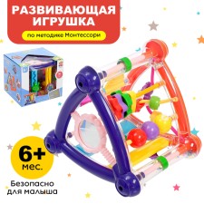 Developing toy 