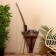 Souvenir onions with bamboo arrows 125x65x3 cm