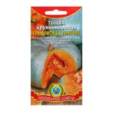 Pumpkin Gribovskaya winter 2 g