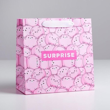 Gift laminated square, packaging, Surprise, 22 x 22 x 11 cm-1