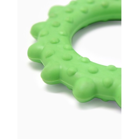 Chewing toy "Ring with spikes", tpr, 8.5 cm, green-2
