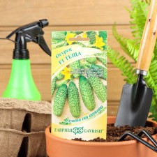 Cucumber seeds 
