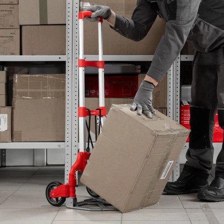 Carries, carrying capacity 80 kg, 38.5x28x97 cm-12