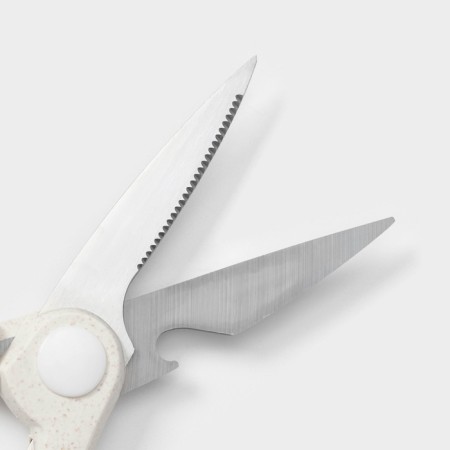 Scissors kitchen shares "Ringo", color mix-5