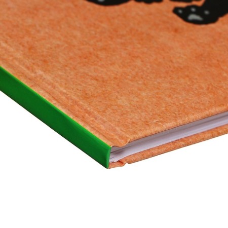 Diary solid cover 1-11 grades 48 sheets, "sprout", cardboard cover 7BC, glossy lamination, cheat sheet-2