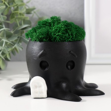 Concrete Kashpo "Osminog" height 7 cm, d-6.5 cm black with a white paw with moss (moss green, stub)