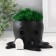 Concrete Kashpo "Osminog" height 7 cm, d-6.5 cm black with a white paw with moss (moss green, stub)
