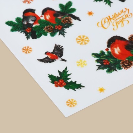 Sticking with a luminous layer of "bullfinch", 10.5 x 14.8 x 0.1 cm, New Year-1