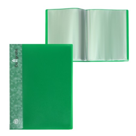 Folder with 20 A4 inserts, 600 μm, calligrata, 15 mm, green