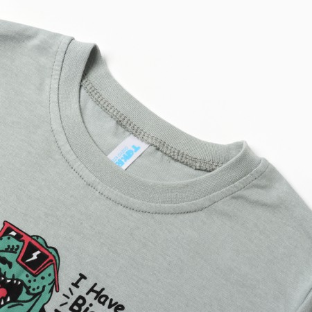 T-shirt for a boy, light gray/dinosaur, height 122-1