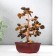 Bonsai souvenir 60 stones "Cash tree with tiger crystals" 13x7x5 cm