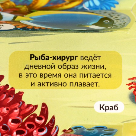 Encyclopedia Pop Up "Sea"-4