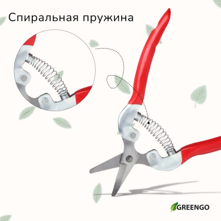 Garden scissors, 7 "(18 cm), with metal pens, rubberized handle, Greengo-8