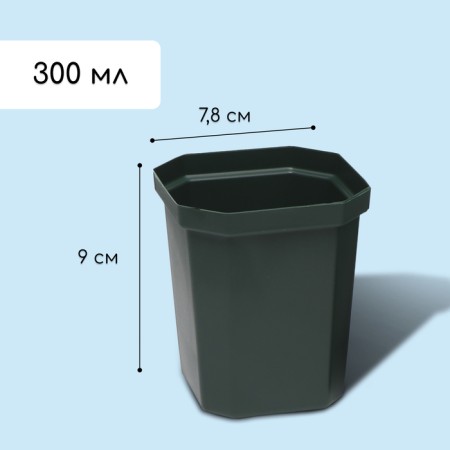Set for seedlings: glasses of 300 ml (10 pcs), pan 41 × 17 cm, color mix-1