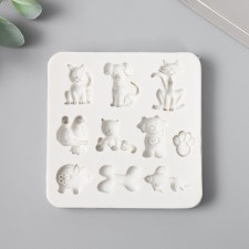 Mold Silicon 