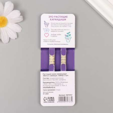 Growing gift pencils Mini "Mint and Lavada" set 2 pcs-1