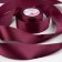 Satin tape, 50 mm × 23 ± 1 m, eggplant color No. 252