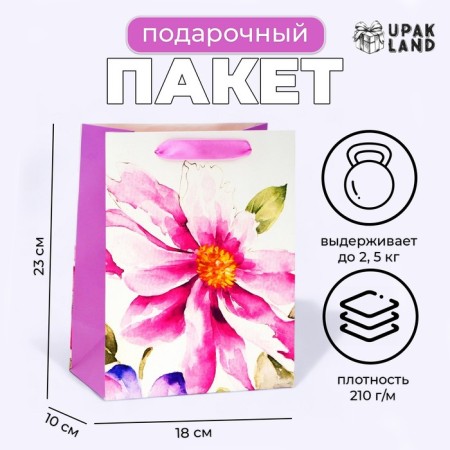 Laminated packet "Watercolor", MS 18 × 23 × 10 cm