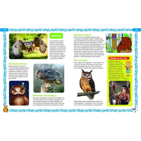 Big book about birds. Illustrated encyclopedia-4