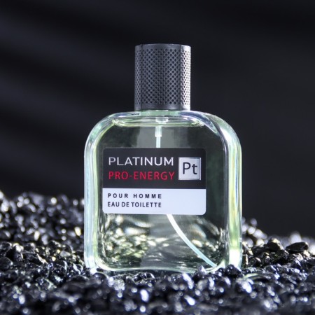 Male Water Pro-Energy Platinum, 100 ml (based on Egoiste Platinum (Chanel)-1