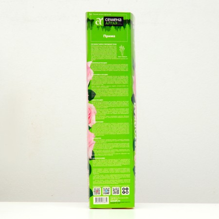Saughty Rose Prima Spring 2024, 1 pc.-2
