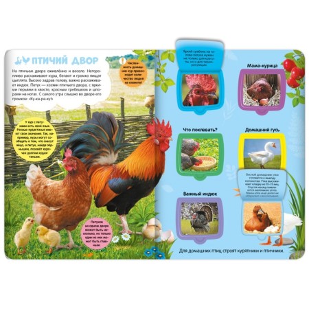 Book with the windows "Farm"-1