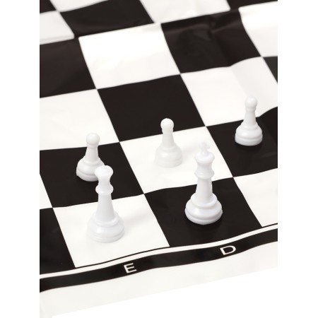 Chess 22 x 22 cm, King H-2.1 cm, d-0.9 cm, plastic figures-4