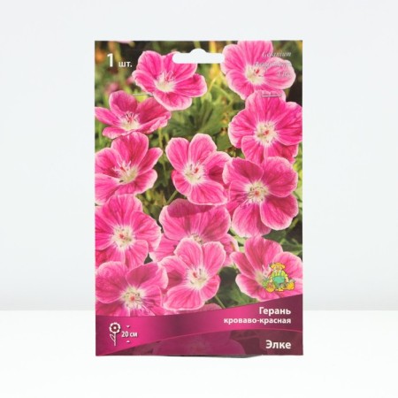 General blood red Elke, rr I, 1 pc, spring 2025