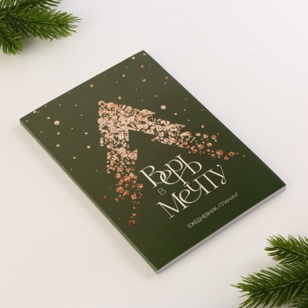 New Year. Diary-planning “Believe in Dream”, A5, 80 liters.-4