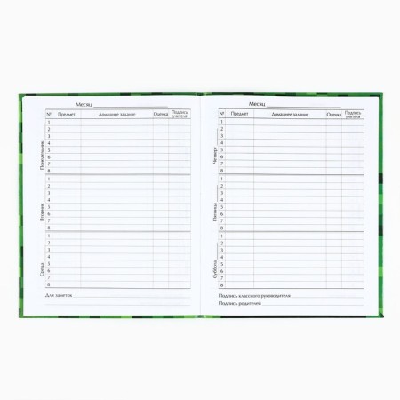 School diary for grade 1-11, in an integrated cover, 40 liters. "Minecraft"-2