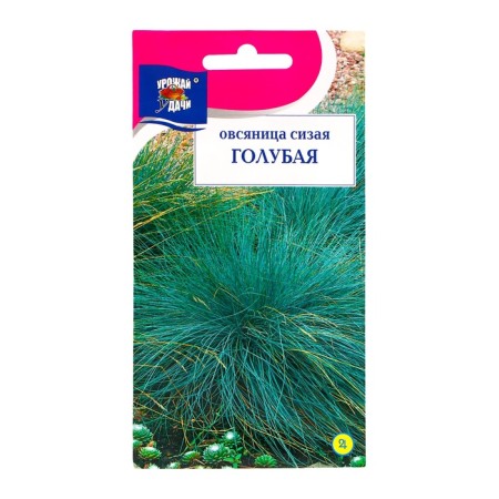 Seeds of flowers Oatmeal "Sizai Blue", 0.1 g