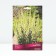 Aconit Klobuchki Album, Rr. I, 1 pc, spring 2025