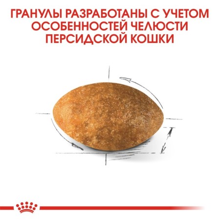 Dry food RC Persian for Persian cats, 2 kg-4