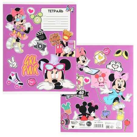 Notebook in a cage 12 sheets, 5 types of mix, cover coated cardboard, Minnie Mouse-6