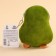 Chocolate sweets “my avocadics”, in a small Avocado purse, 50 g.