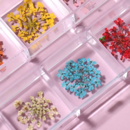 Sudden for decor, 12 species, in case, colorful color-2