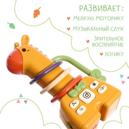 Musical rattle, sound-2