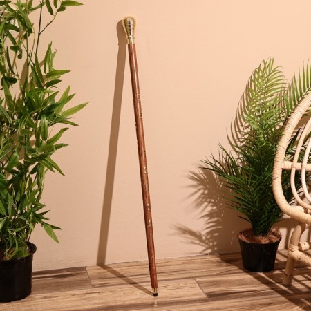 Cane 94 cm, tree shisham