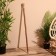 Cane 94 cm, tree shisham