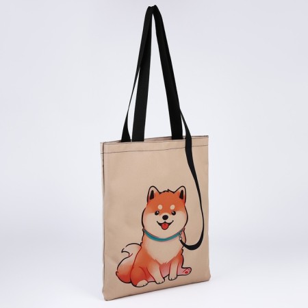 Bag Schoper "Siba-Inu", 35x0.5x40 cm, Department without lightning, without lining, beige-1