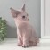 The piggy bank "Kitten Sphinx" 22 x 10 x 21 cm.