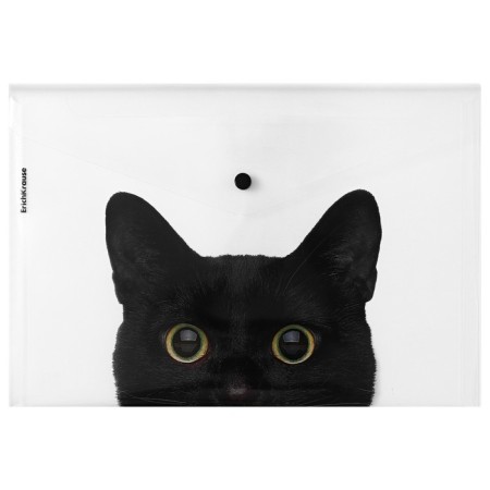 A4 button, 160 μm, Erichkrause "Hiding Cats", translucent, mix, mix-4