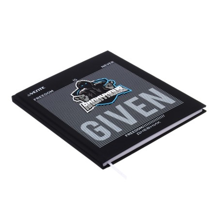 Universal diary for grade 1-11 Anonymous Fighter, hard cover, artificial leather, foam rubber, lies, 80 g/m2-1
