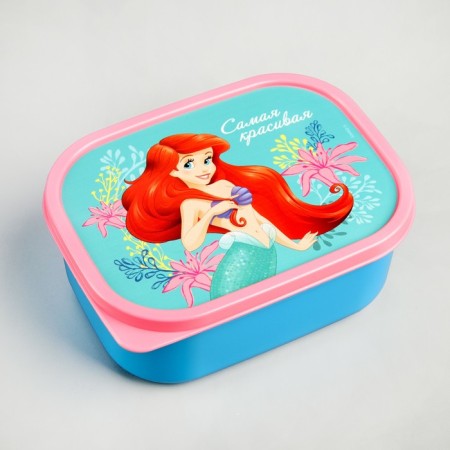 Lunch-Box rectangular, 500 ml, Ariel-2
