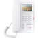 Phone IP Fanvil H5, white