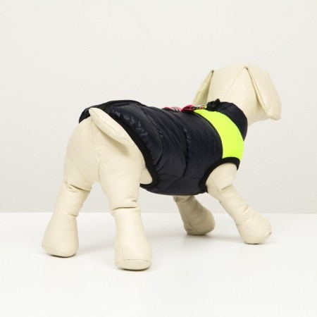 Lightning dog jacket, size 8 (ds 23 cm, og 30, Osh 22 cm), blue with yellow-2