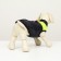 Lightning dog jacket, size 8 (ds 23 cm, og 30, Osh 22 cm), blue with yellow