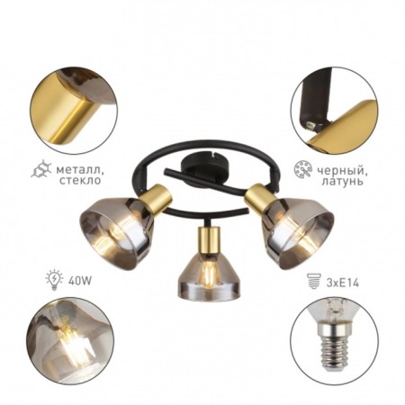 Light Kinge 7036-733 3he14 40W-1